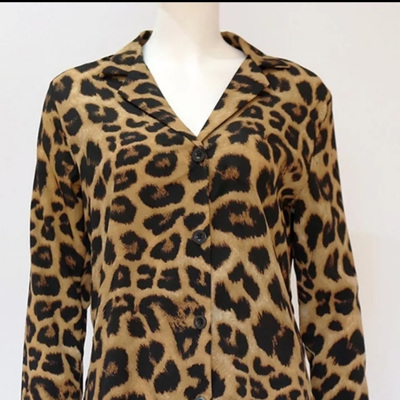 Tops - Brown Leopard Print Long Sleeve Blouse